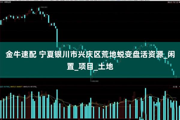金牛速配 宁夏银川市兴庆区荒地蜕变盘活资源_闲置_项目_土地