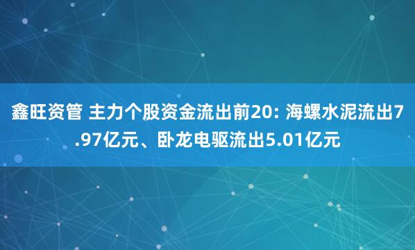 鑫旺资管 主力个股资金流出前20: 海螺水泥流出7.97亿元、卧龙电驱流出5.01亿元