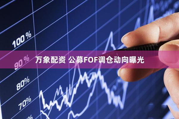 万象配资 公募FOF调仓动向曝光