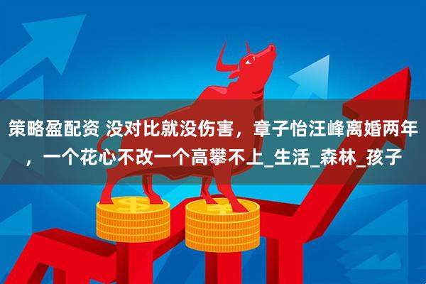 策略盈配资 没对比就没伤害，章子怡汪峰离婚两年，一个花心不改一个高攀不上_生活_森林_孩子